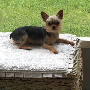 Meet your Posher, Gloria